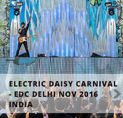 Electric Dailsy Carnival 2016