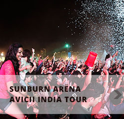 Sunburn Arena Avicii India Tour